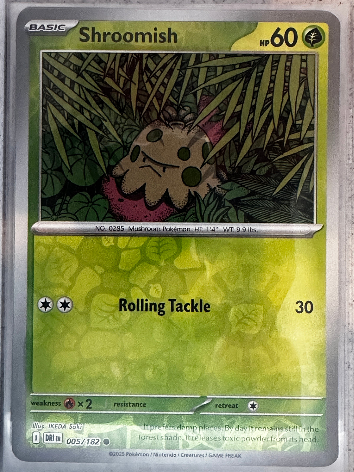 Pokemon TCG Scarlet & Violet Destined Rivals Shroomish Reverse Holo #5/182