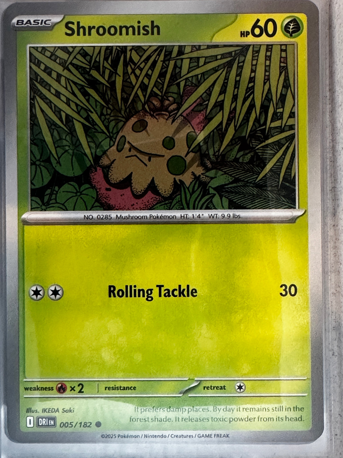 Pokemon TCG Scarlet & Violet Destined Rivals Shroomish Reverse Holo #5/182